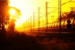 Coal dust and container in Australia 